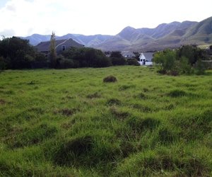 Recently Sold by us!